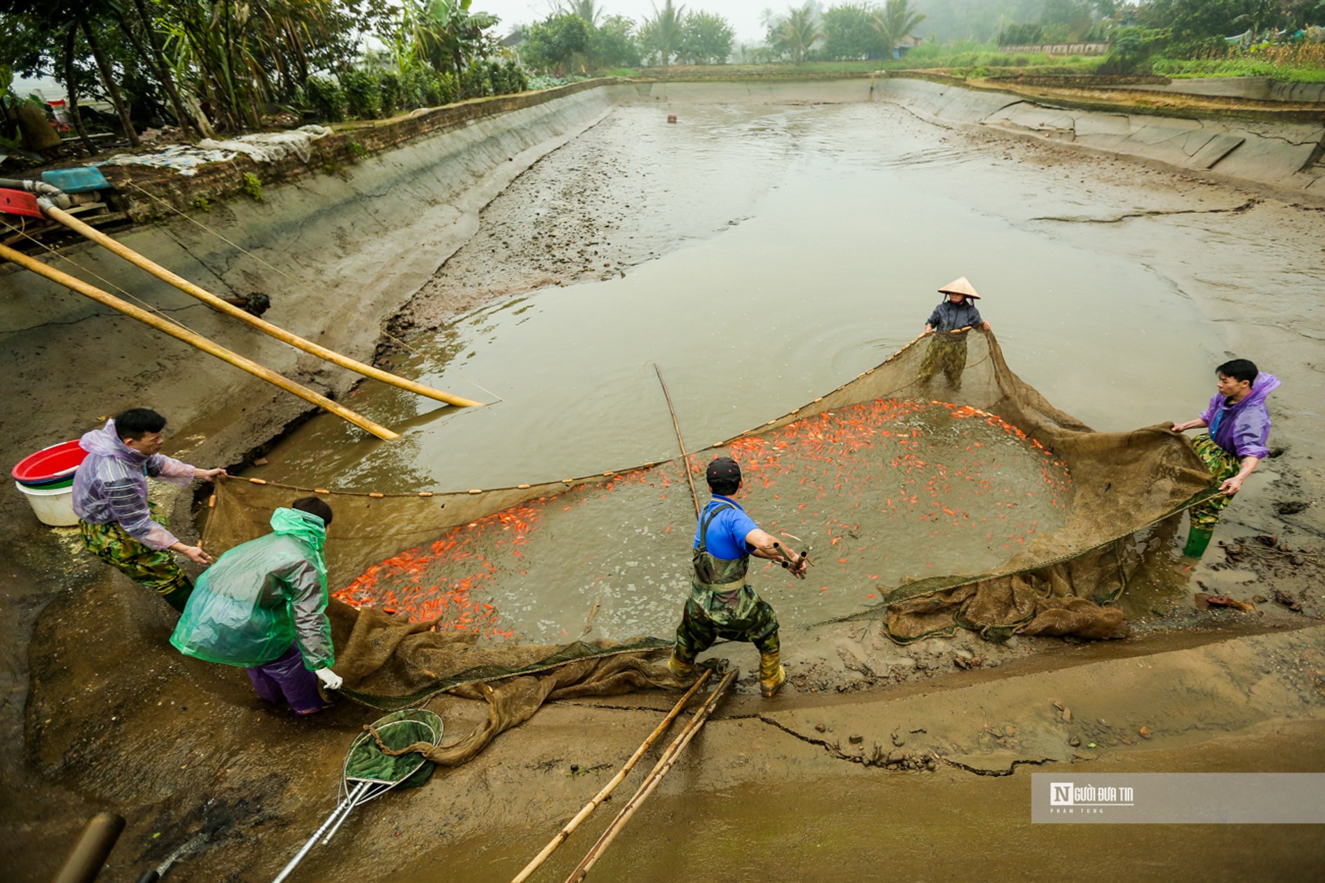 Dân sinh - Làng cá Thủy Trầm nhộn nhịp phục vụ Tết ông Công ông Táo (Hình 9).