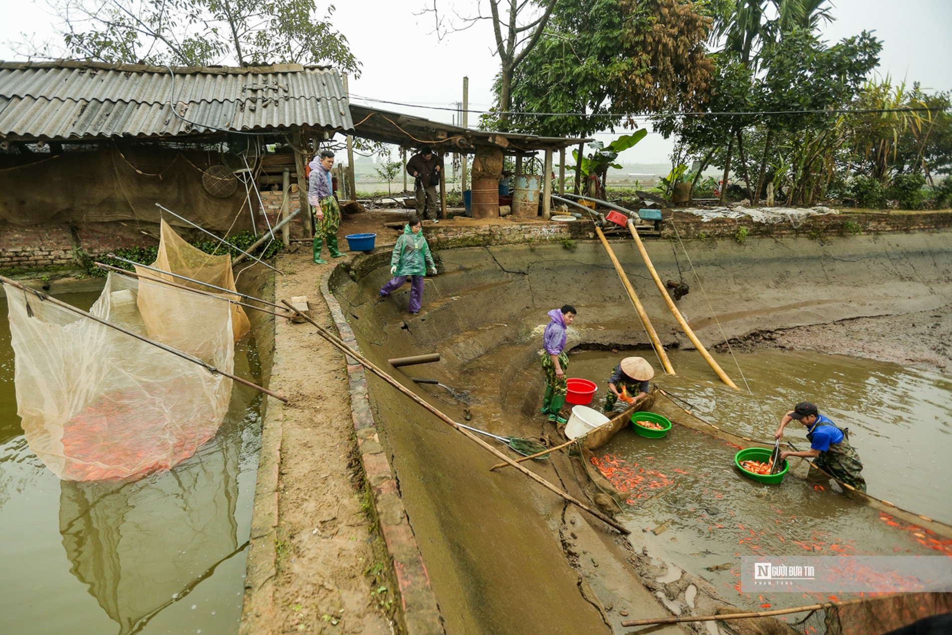 Dân sinh - Làng cá Thủy Trầm nhộn nhịp phục vụ Tết ông Công ông Táo