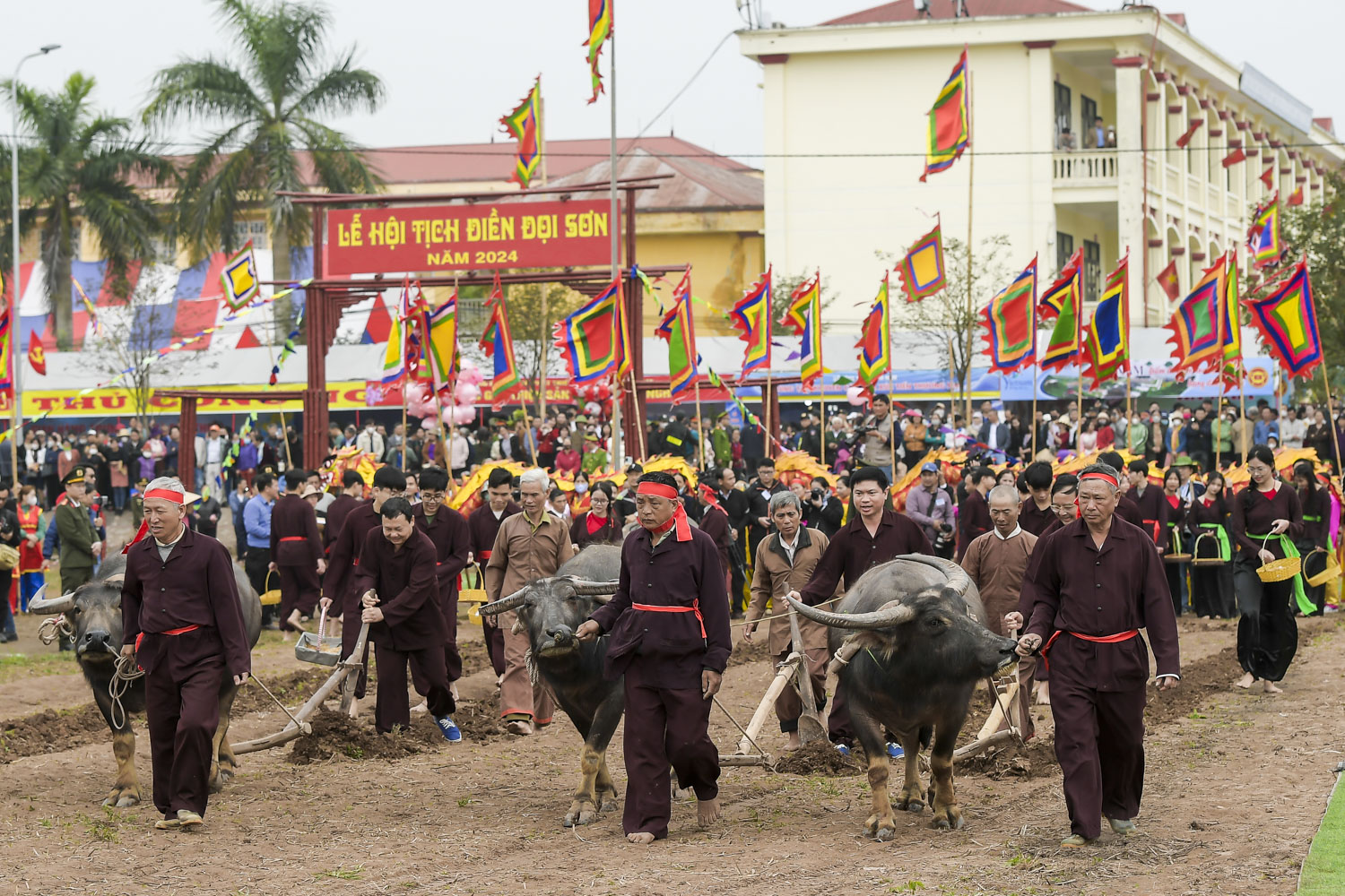 Văn hoá - Đầu năm “vua” xuống ruộng đi cày (Hình 10).