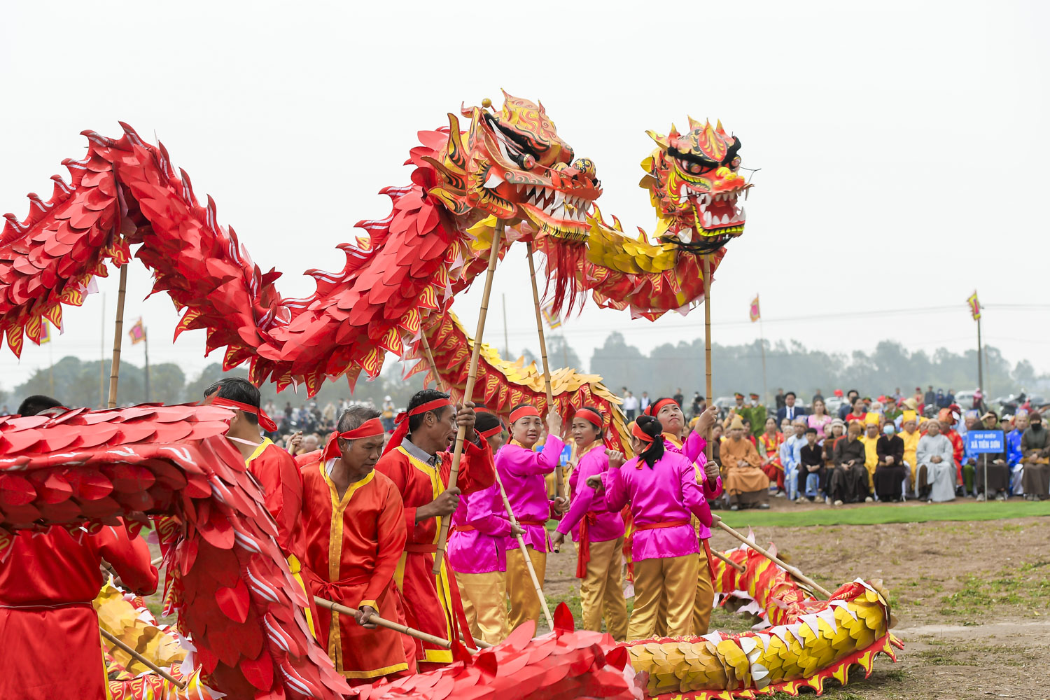 Văn hoá - Đầu năm “vua” xuống ruộng đi cày (Hình 3).