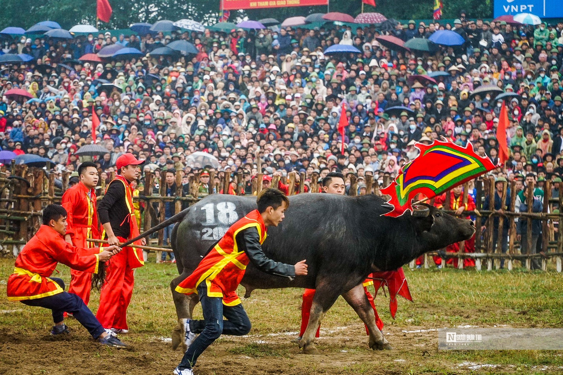 Văn hoá - Kịch tính những màn đối đầu của “ông Cầu” ở Vĩnh Phúc (Hình 8).