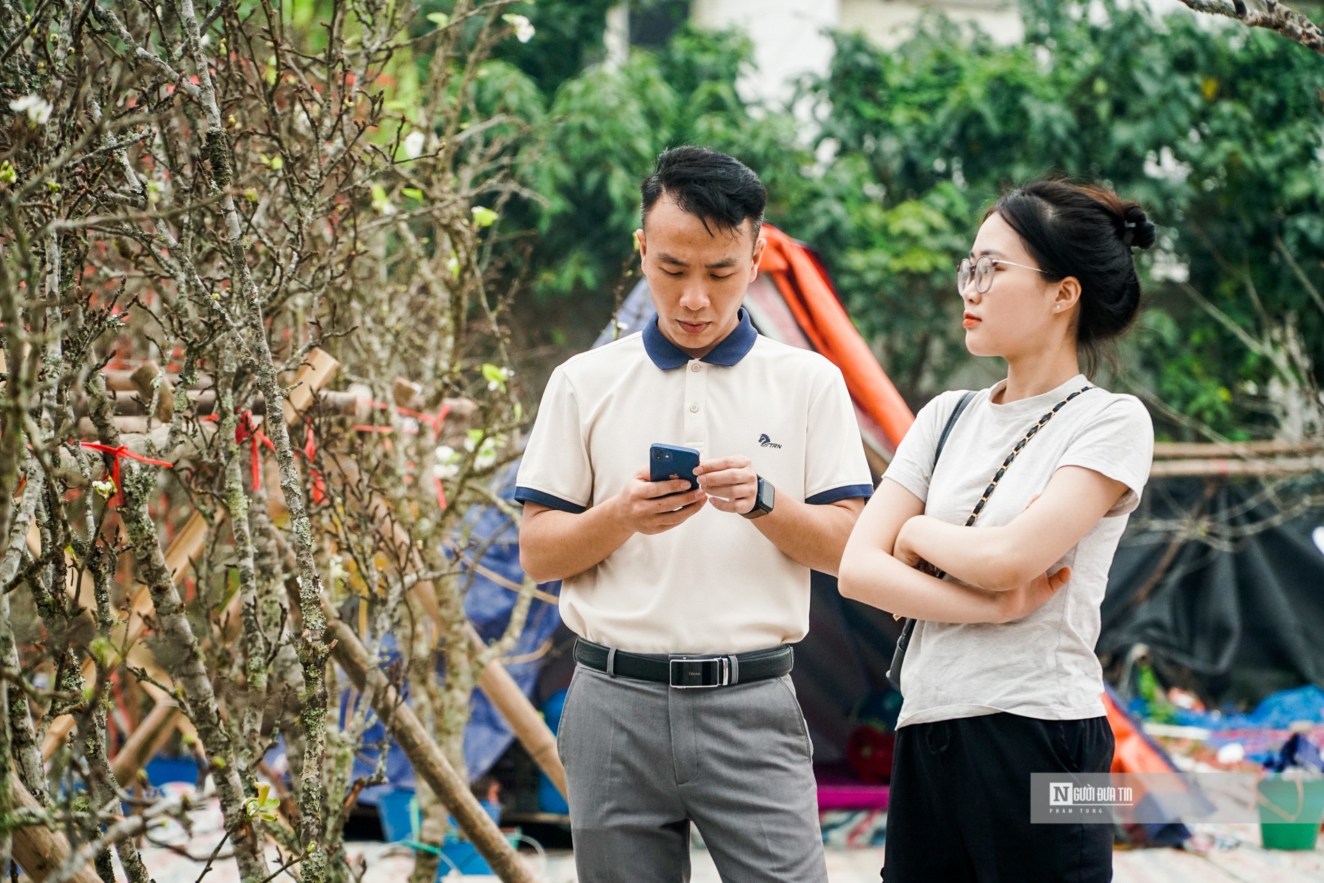 Dân sinh - Hoa lê rừng xuống phố hút khách sau Tết (Hình 3).