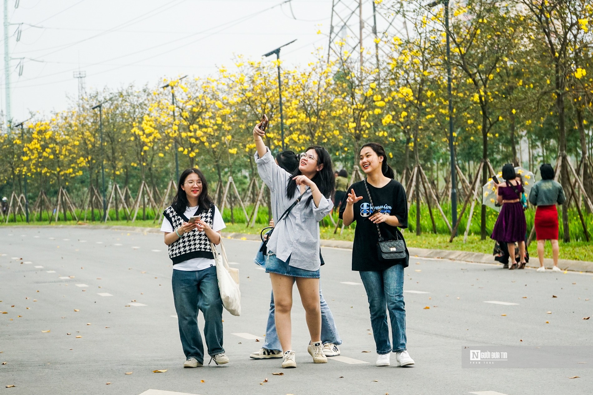 Dân sinh - Người dân thích thú check in bên đường hoa phong linh rực vàng (Hình 5).