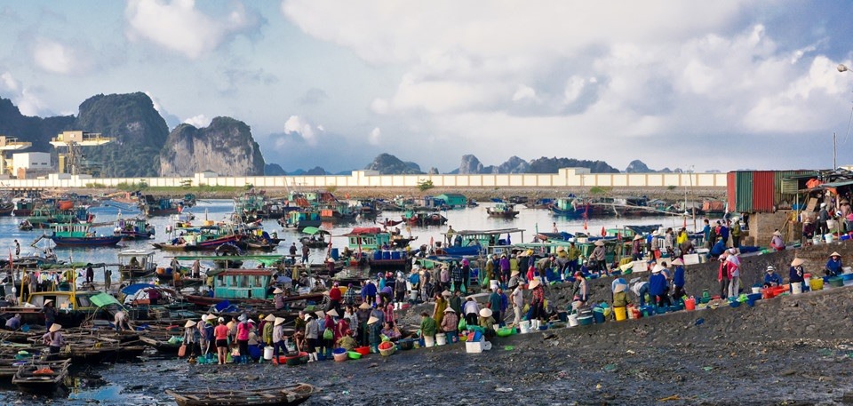 Dân sinh - Mãn nhãn với vựa thuỷ sản bậc nhất ở Quảng Ninh  (Hình 2).