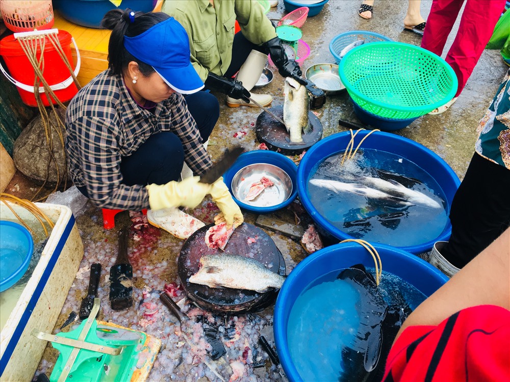 Dân sinh - Mãn nhãn với vựa thuỷ sản bậc nhất ở Quảng Ninh  (Hình 13).