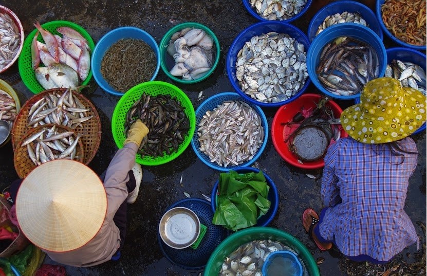 Dân sinh - Mãn nhãn với vựa thuỷ sản bậc nhất ở Quảng Ninh  (Hình 3).