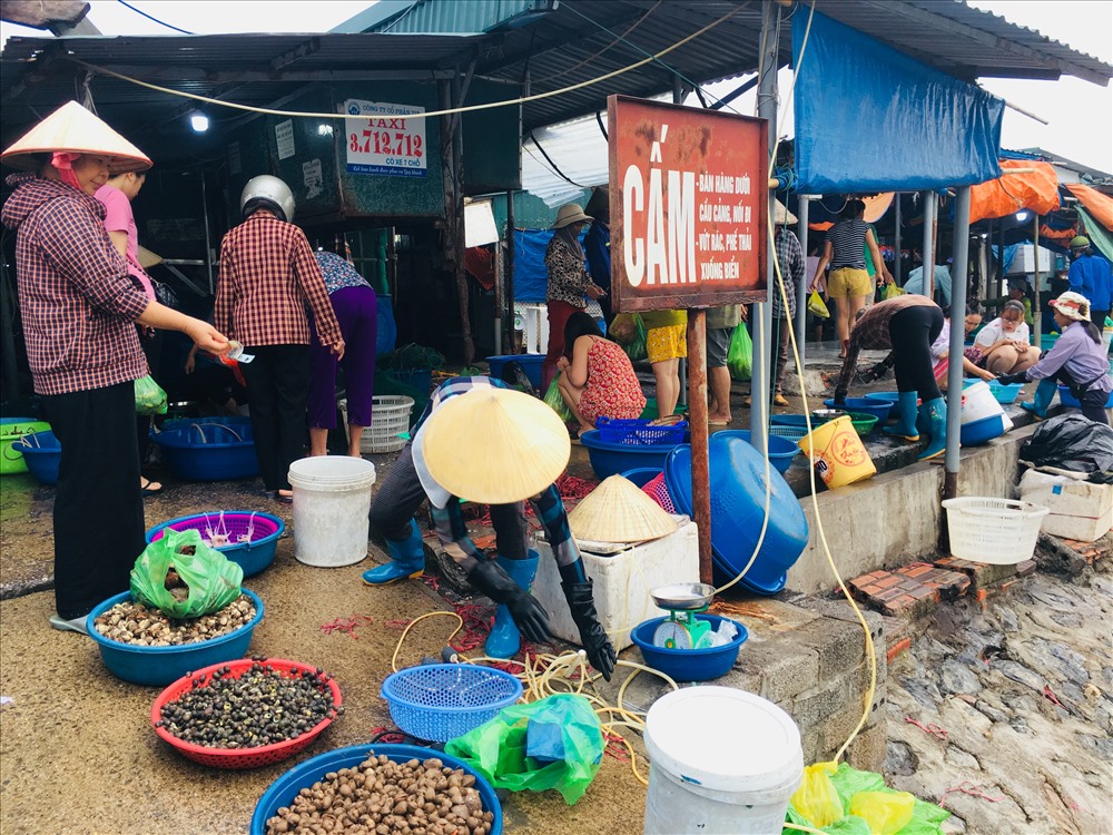 Dân sinh - Mãn nhãn với vựa thuỷ sản bậc nhất ở Quảng Ninh  (Hình 4).