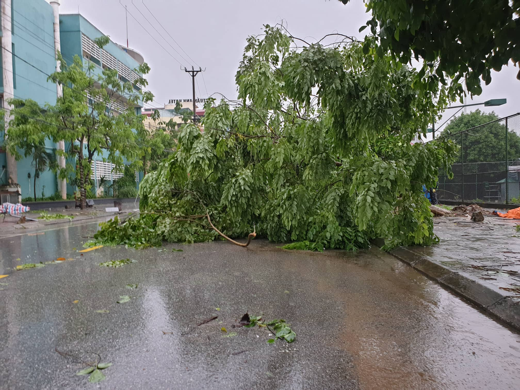 Tin nhanh - Nước sông Ka Long dâng cao sau bão, đe dọa trung tâm Móng Cái (Hình 3).