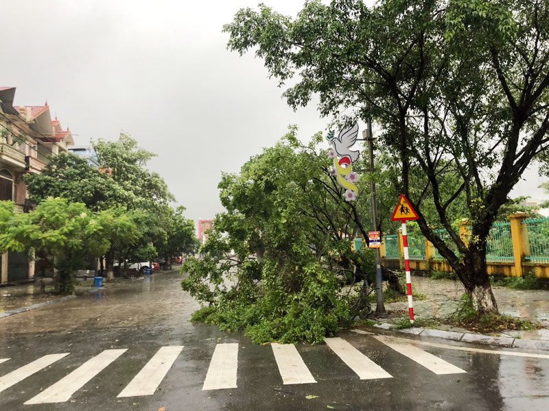 Tin nhanh - Nước sông Ka Long dâng cao sau bão, đe dọa trung tâm Móng Cái (Hình 2).