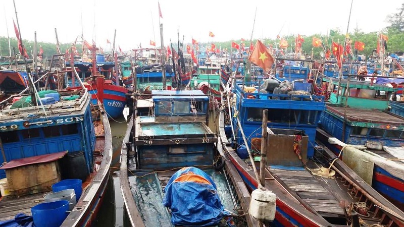 Tin nhanh - Hàng trăm thuyền bè ở Thanh Hóa “lên phố” tránh bão số 3 (Hình 3).