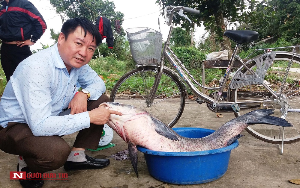 Tin nhanh - Cận cảnh con cá trắm đen 'khủng' dài hơn 1m, giá 7 triệu đồng (Hình 4).