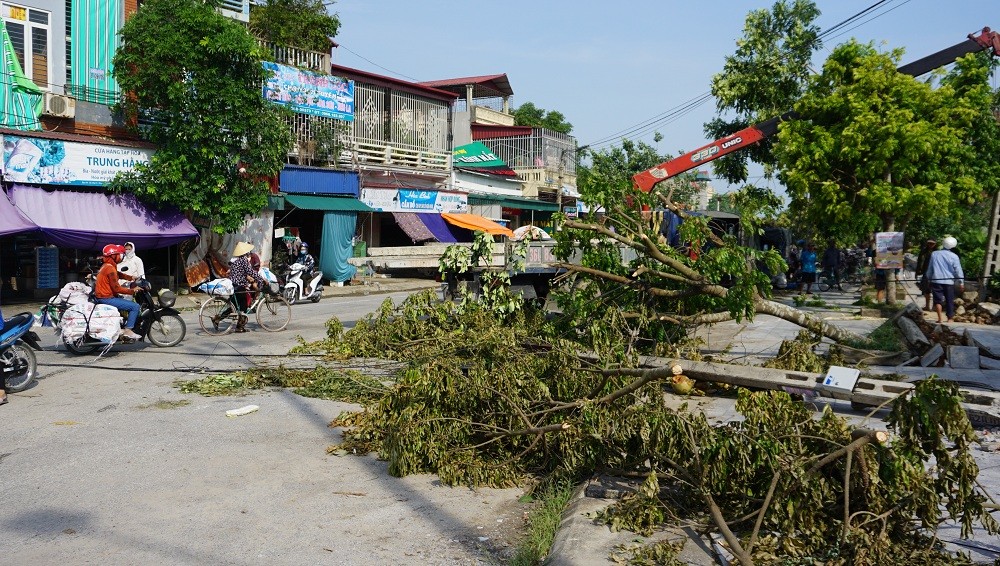 Tin nhanh - “Cuồng phong” hất tung 230 ngôi nhà, gãy cột điện và cây cối ở Thanh Hóa (Hình 4).