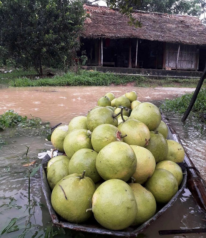 Tin nhanh - Cận cảnh vùng rốn lũ Hương Khê – Hà Tĩnh chìm ngập trong biển nước (Hình 13).