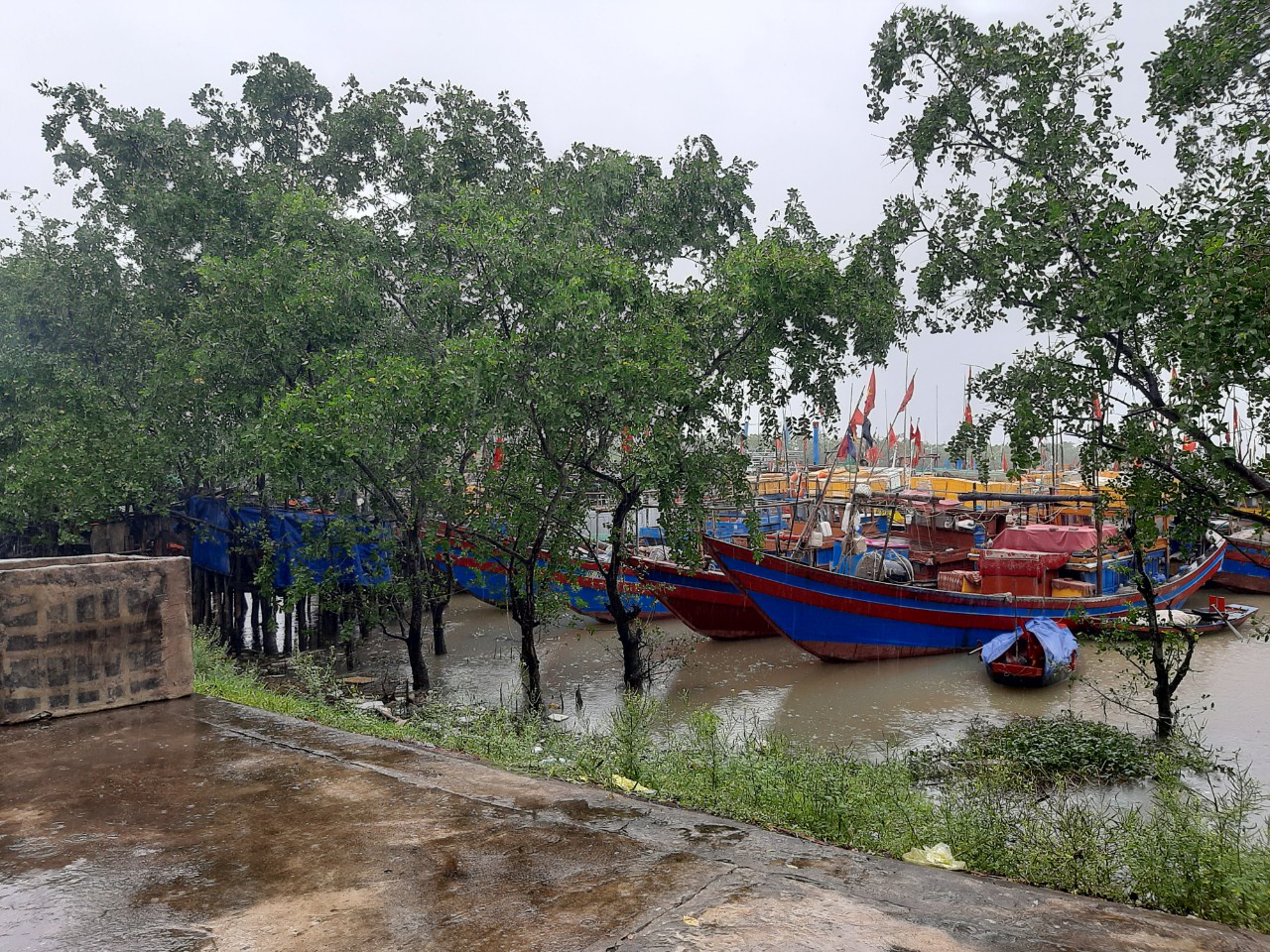 Tin nhanh - Thanh Hóa đã sẵn sàng ứng phó với cơn bão số 7 đổ bộ vào bờ (Hình 2).