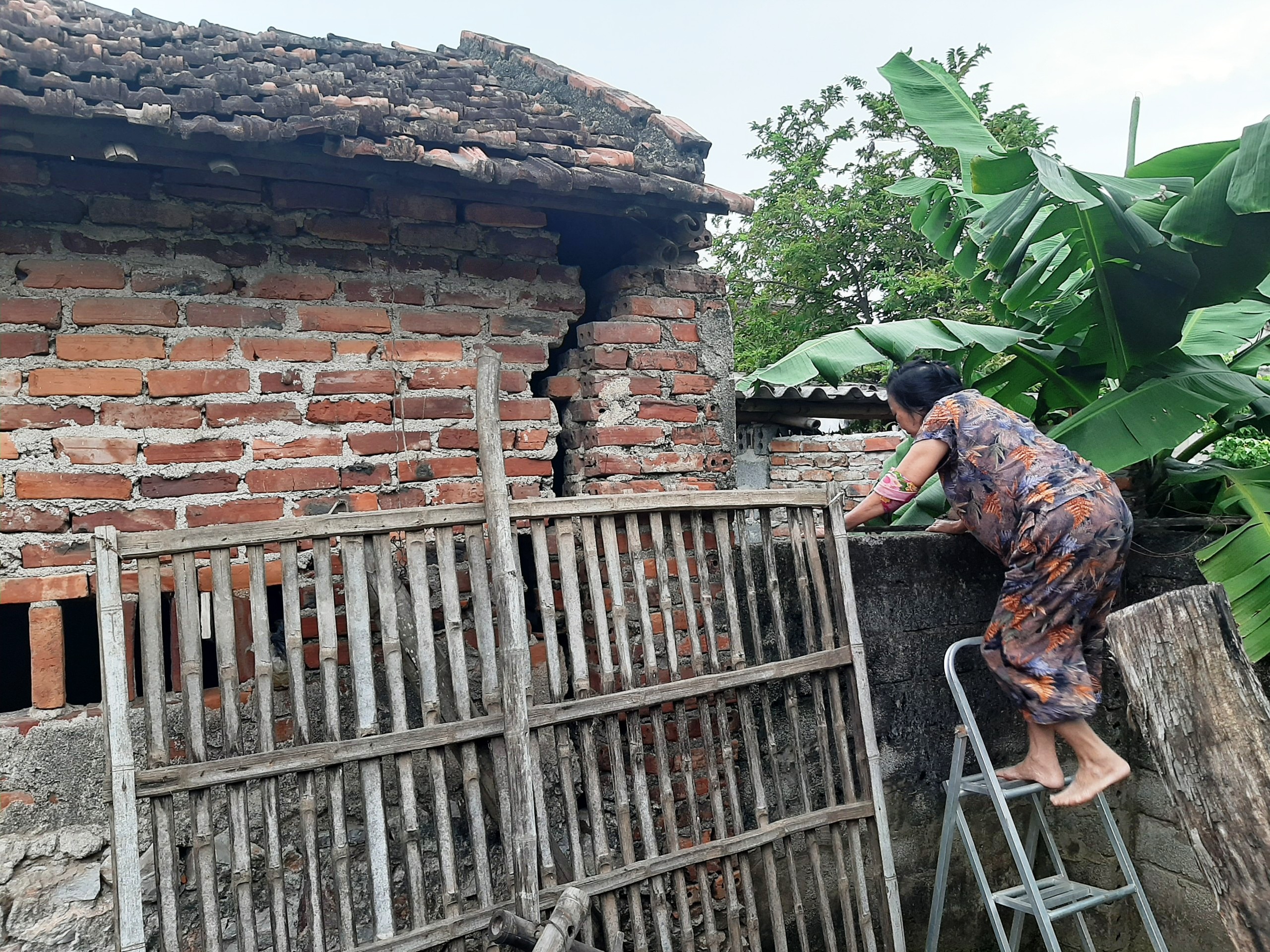 Tin nhanh - Cụ bà 62 tuổi phải bắc thang, trèo tường vào nhà vì lỗi của cán bộ xã (Hình 4).