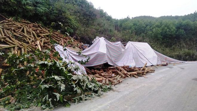 Dân sinh - Nóng: Xe tải chở keo đâm vào vách núi khiến 7 người tử vong