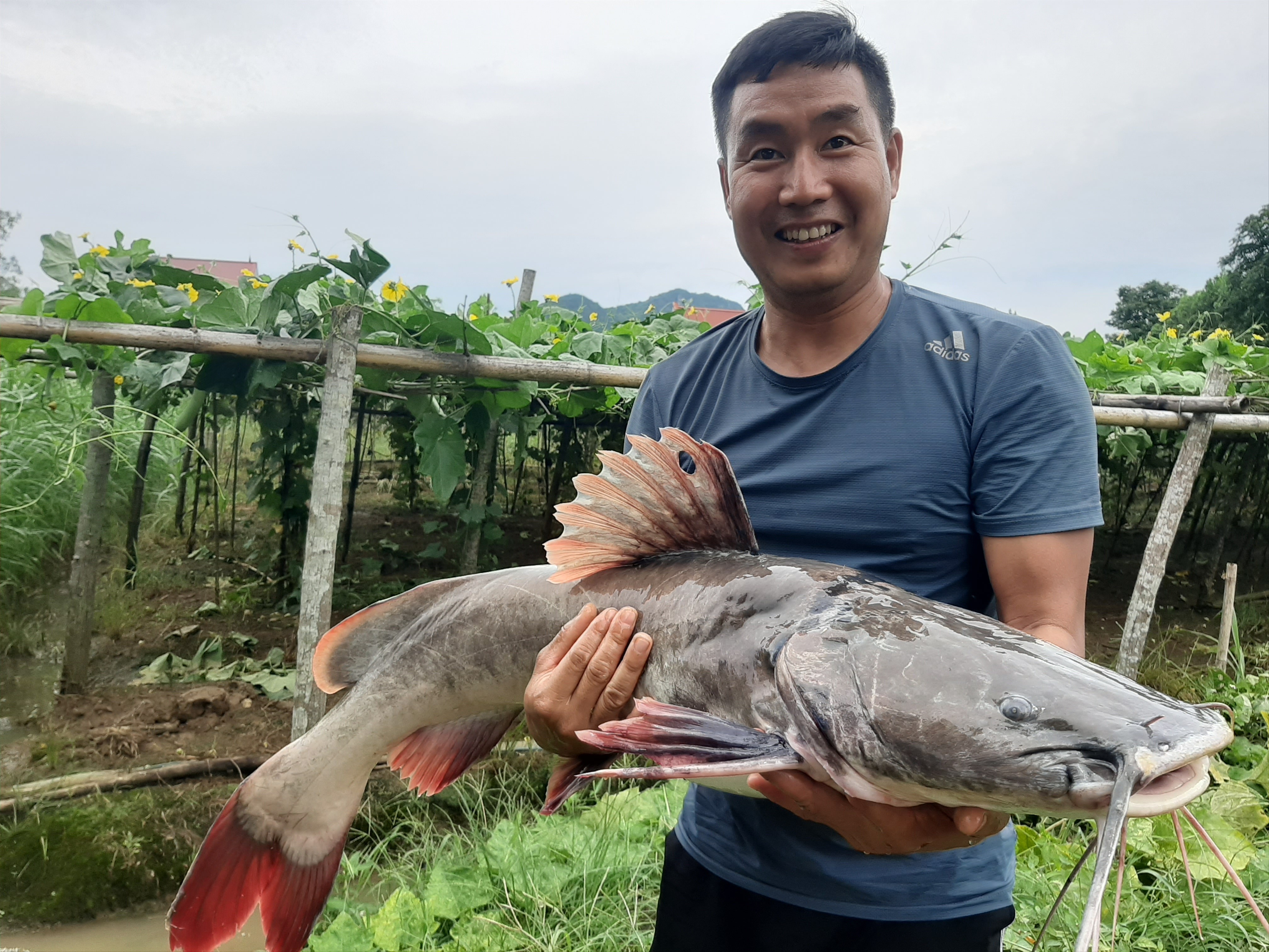 Dân sinh - Ngư dân Thanh Hóa bắt được cá lăng 'khủng' tại hồ thủy lợi (Hình 3).