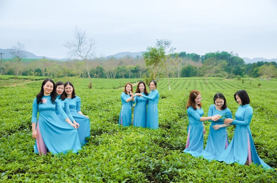 Dân sinh - “Thiên đường chè Nam Trà” hút khách thăm quan, check-in