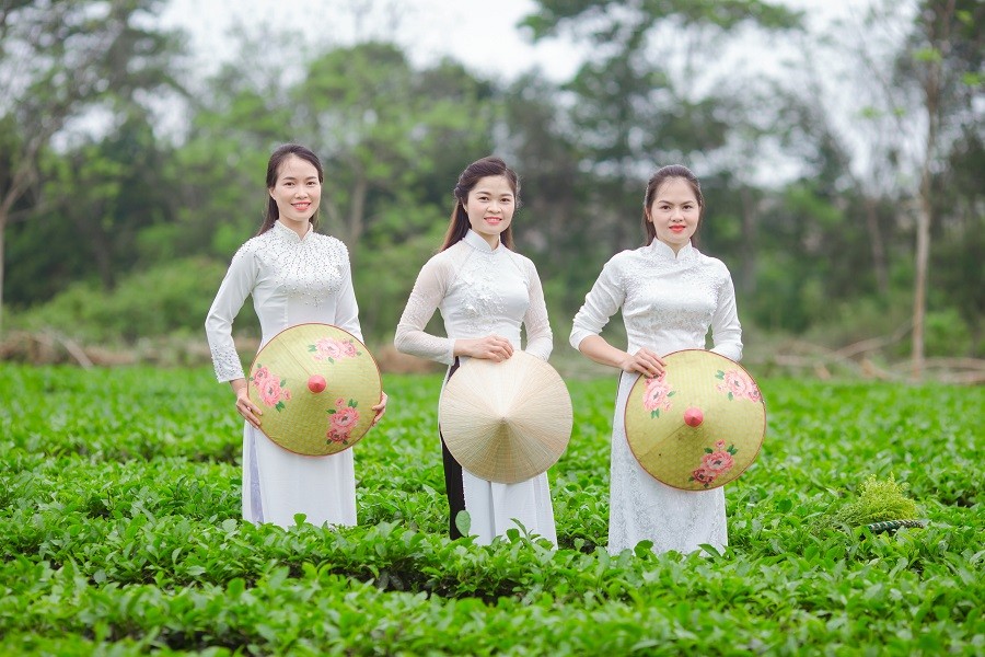 Dân sinh - “Thiên đường chè Nam Trà” hút khách thăm quan, check-in (Hình 2).