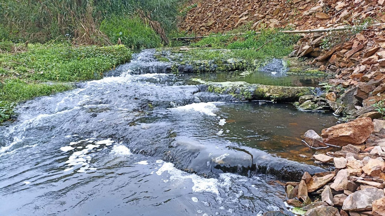 Môi trường - Tìm nguyên nhân 4km suối ô nhiễm mùi phân lợn, cá chết hàng loạt (Hình 4).