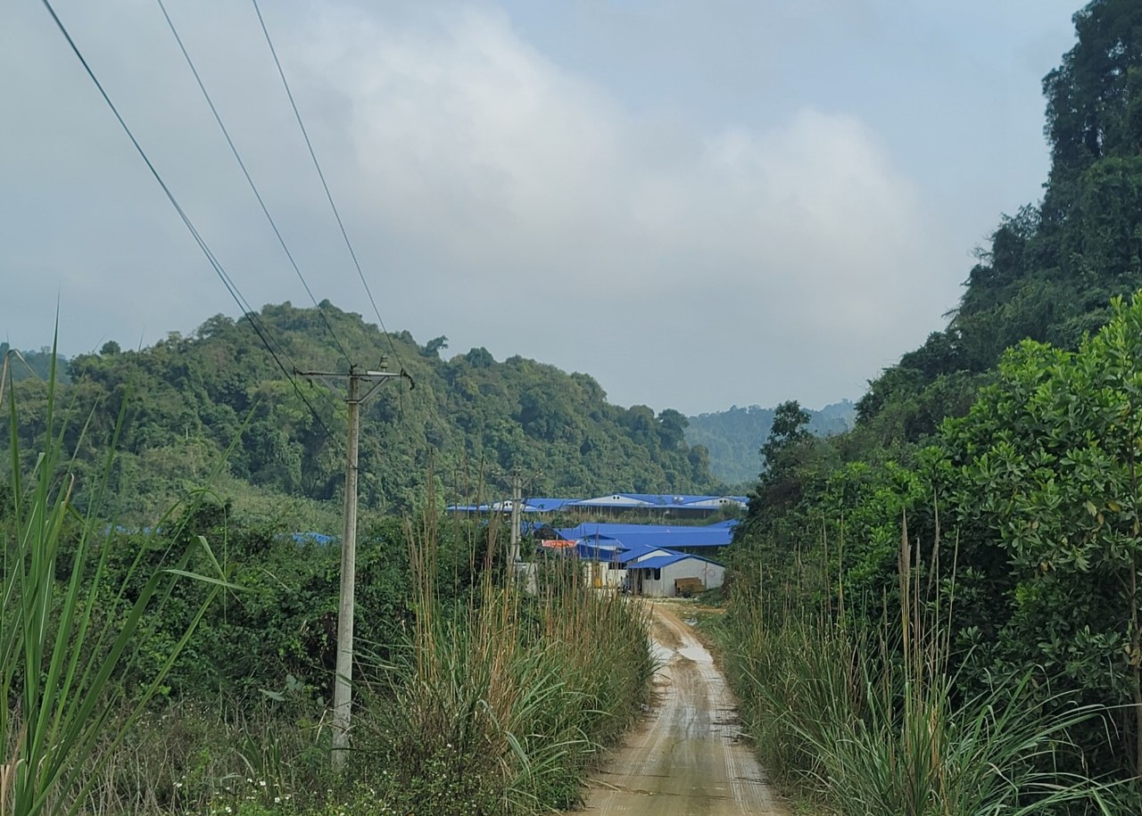 Môi trường - Tìm nguyên nhân 4km suối ô nhiễm mùi phân lợn, cá chết hàng loạt (Hình 6).