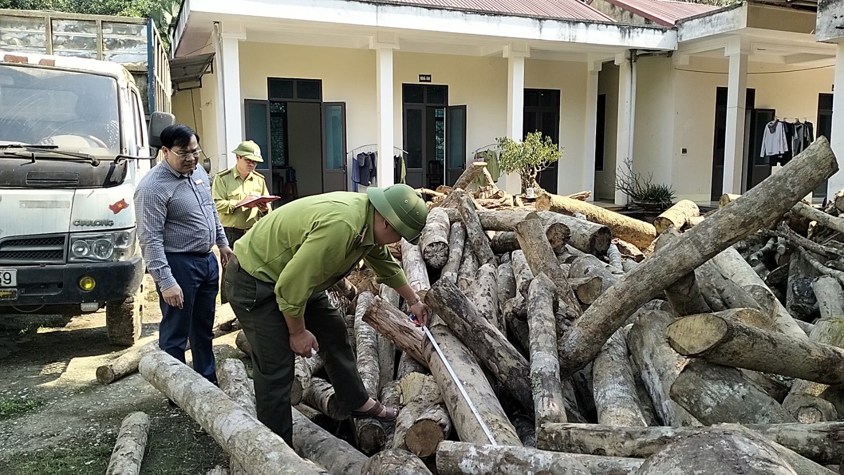 Dòng chảy pháp luật - Diễn biến mới việc xử lý vụ chặt phá gỗ tại 64 lô rừng ở Thanh Hóa (Hình 2).