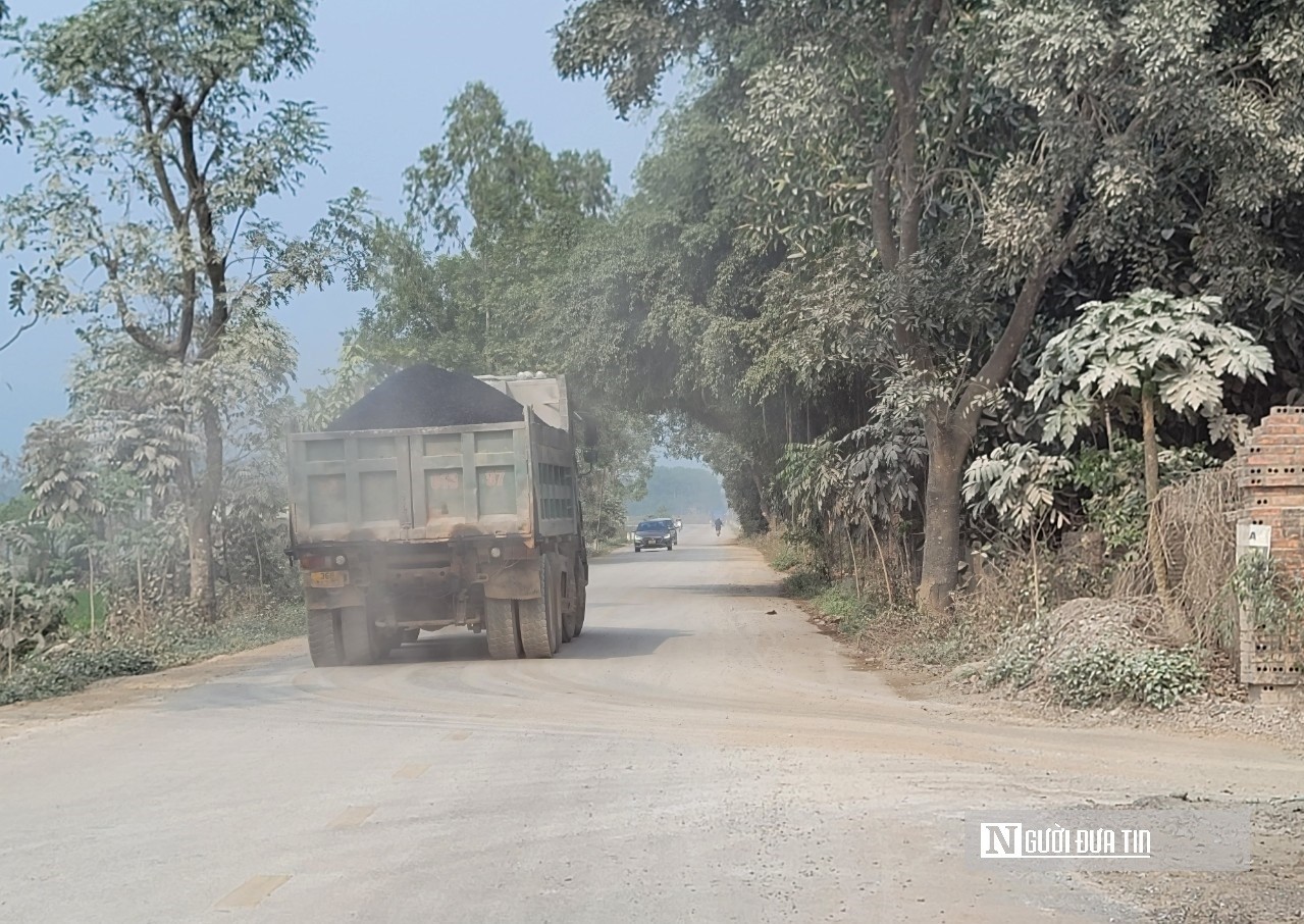 Môi trường - Trạm trộn bê tông, cây dầu “mọc” trên đất lúa và nhà máy gạch (Hình 7).