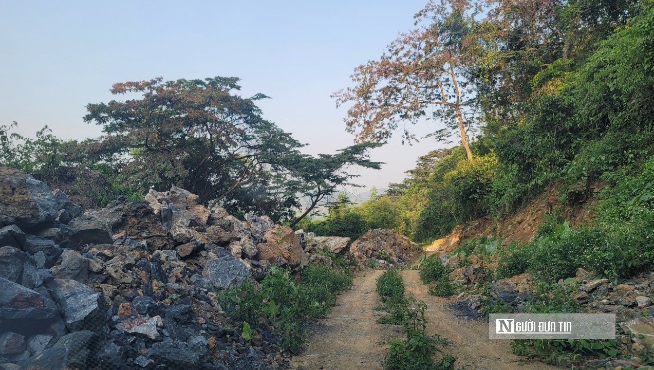 Dân sinh - Thanh Hóa: Xẻ núi, xiên rừng phòng hộ mở đường vào trại lợn trái phép (Hình 2).