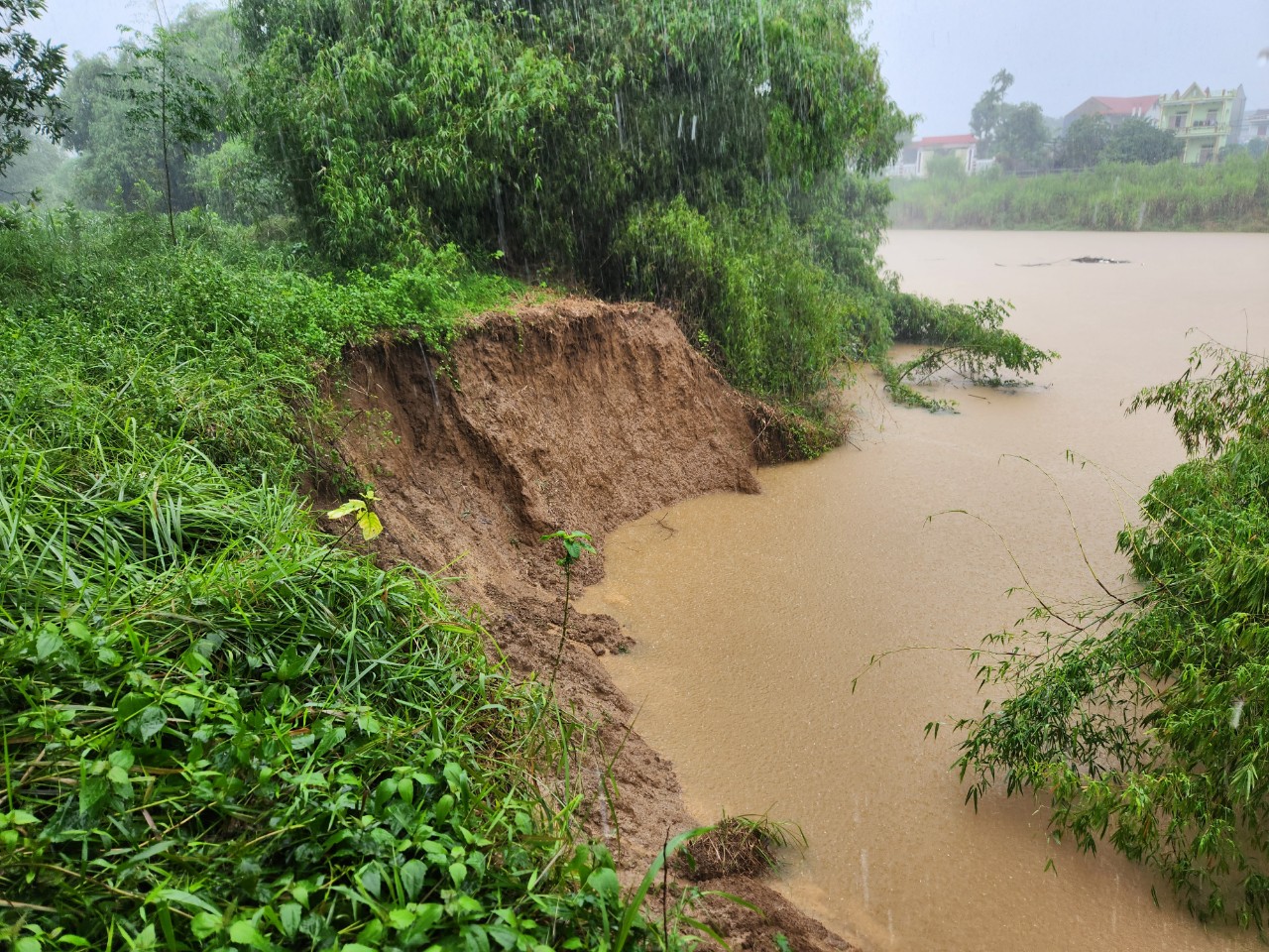 Dân sinh - Thanh Hóa: Một người mất tích khi đi thả lưới, sông Bưởi đang sạt lở (Hình 3).