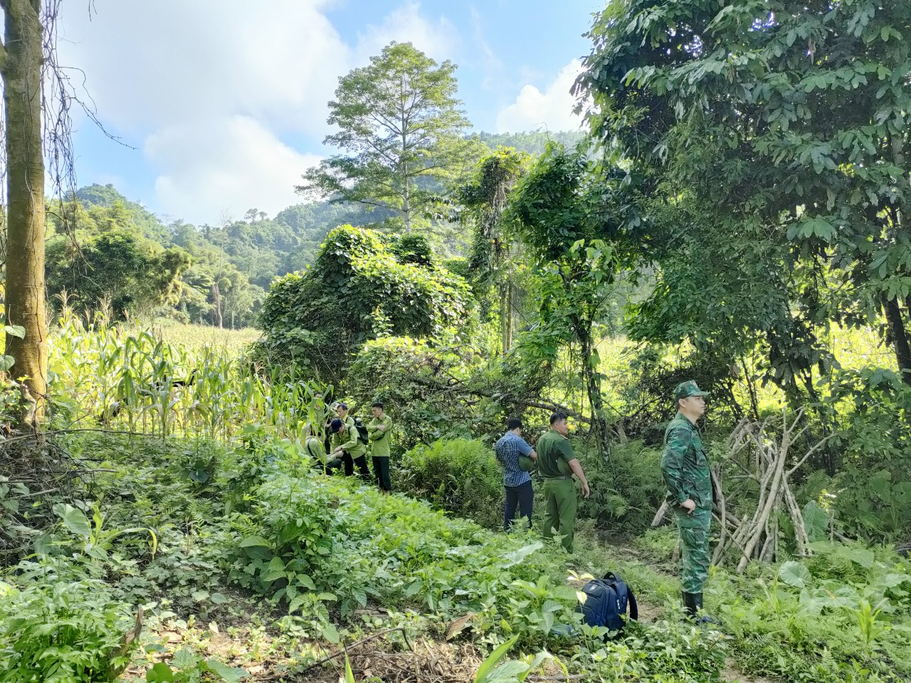 Dân sinh - Kết quả kiểm tra thông tin 3,2ha rừng đặc dụng bị chặt phá