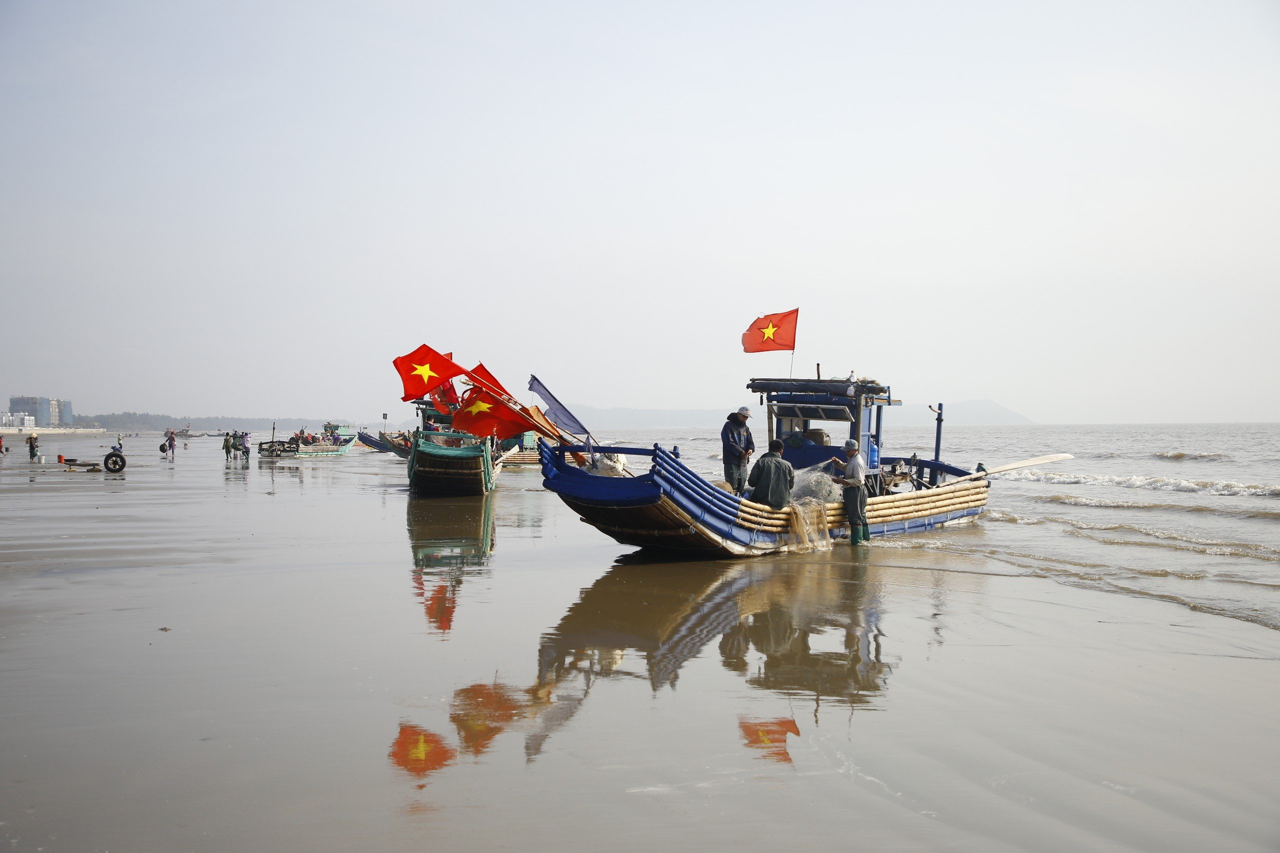 Dân sinh - Ngư dân Thanh Hóa trúng đậm mùa đánh bắt cá trích đầu năm mới