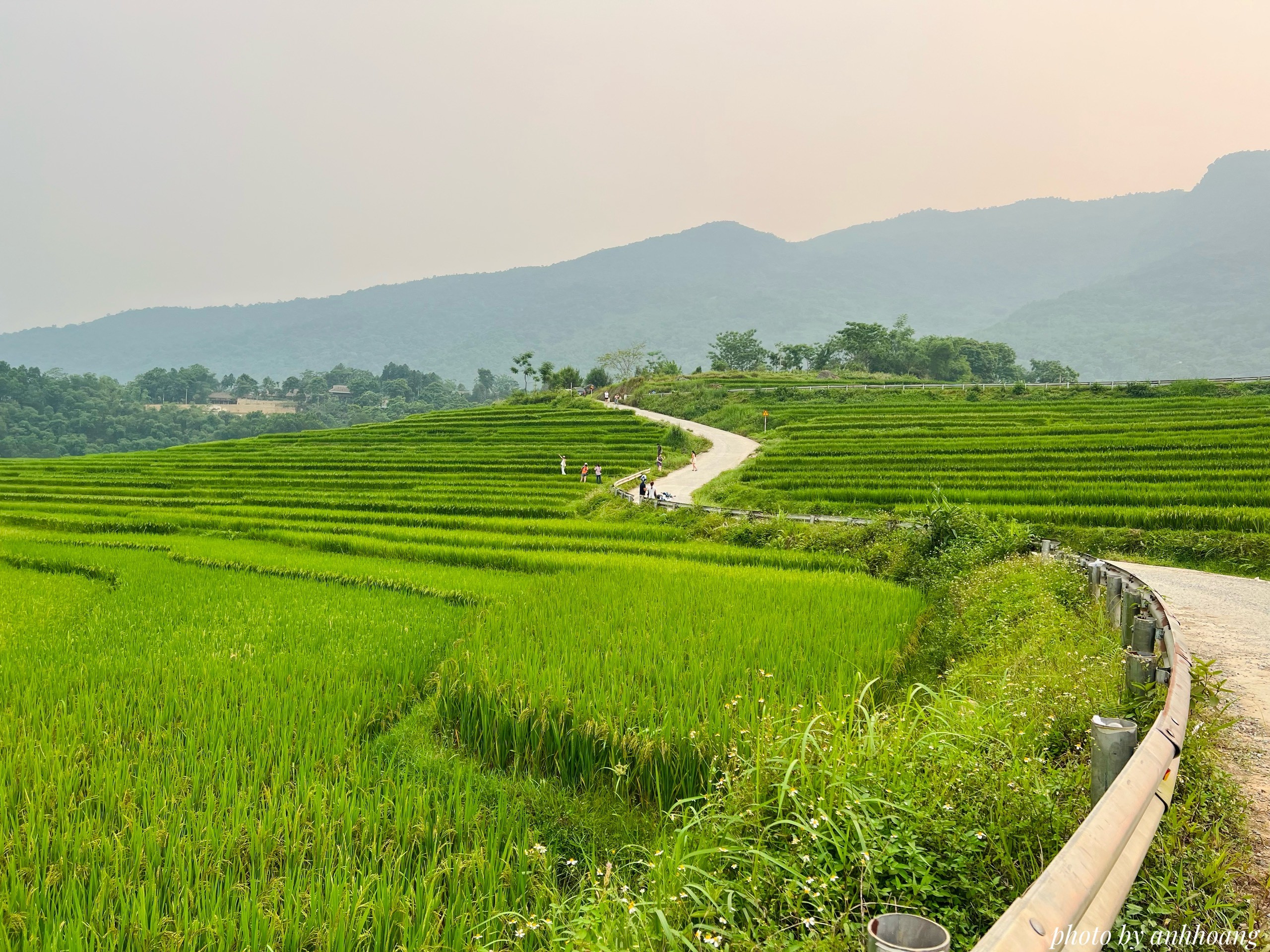 Văn hoá - Thiếu nữ khoe sắc bên ruộng lúa bậc thang ở Pù Luông (Hình 7).