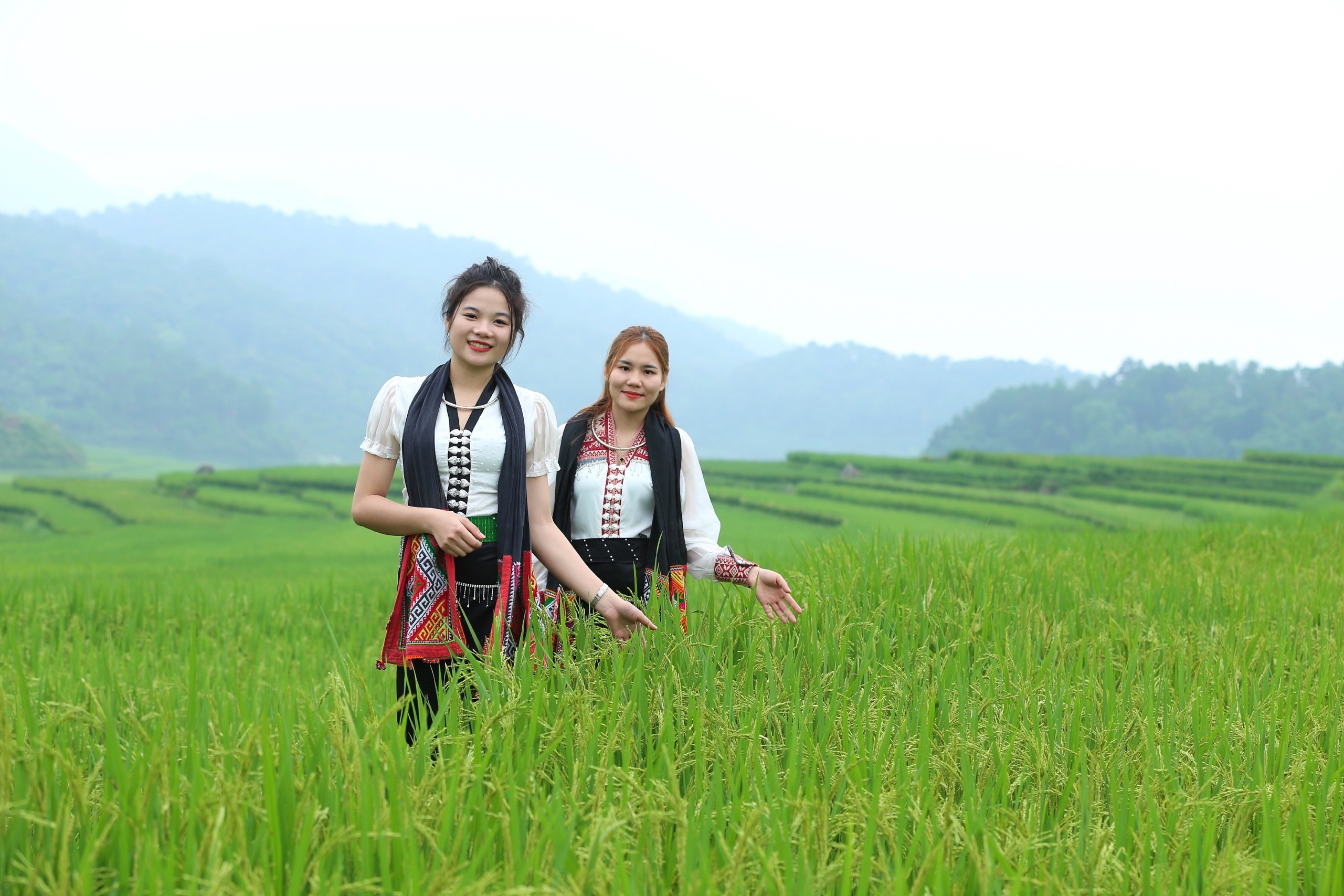 Văn hoá - Thiếu nữ khoe sắc bên ruộng lúa bậc thang ở Pù Luông