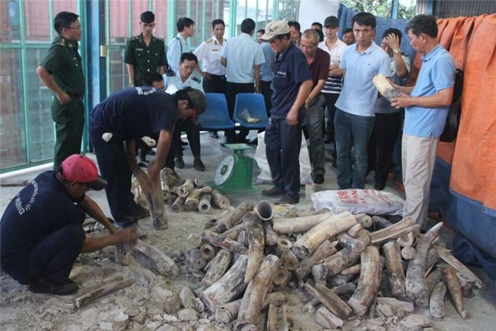 An ninh - Hình sự - Tạm đình chỉ điều tra 4 vụ phát hiện buôn lậu ngà voi 