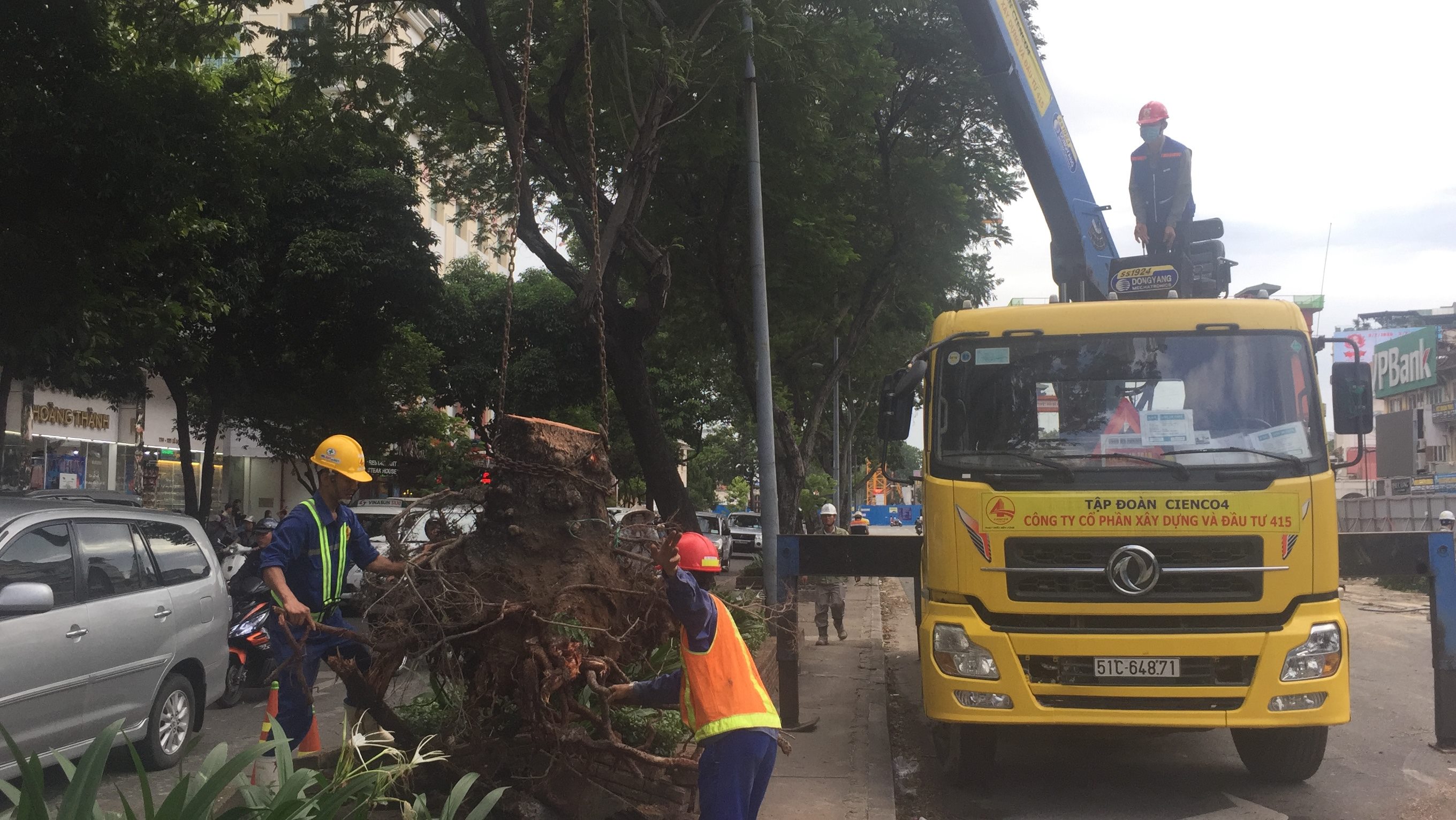 TP.HCM: Mưa dông, lốc kéo đổ cây xanh, nhiều nhà bị tốc mái (Hình 2).