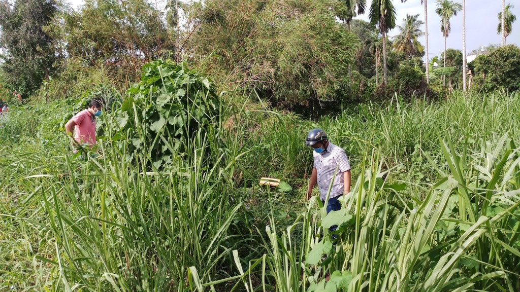 Điều tra nguyên nhân thi thể người đàn ông phân huỷ trong bãi cỏ (Hình 2).