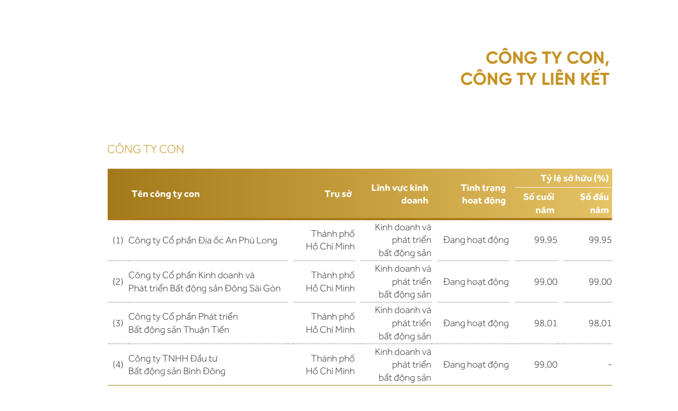 Bất động sản - Nghịch lý ở DRH Holdings: Cổ phiếu lao dốc, cổ đông không cổ tức, sếp lớn ung dung hưởng bạc tỷ (Hình 2).