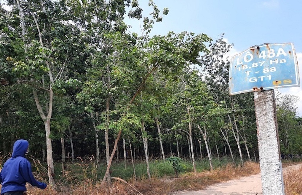 Hồ sơ điều tra - Đề nghị truy tố đối tượng gây ra 15 vụ cướp tài sản và hiếp dâm