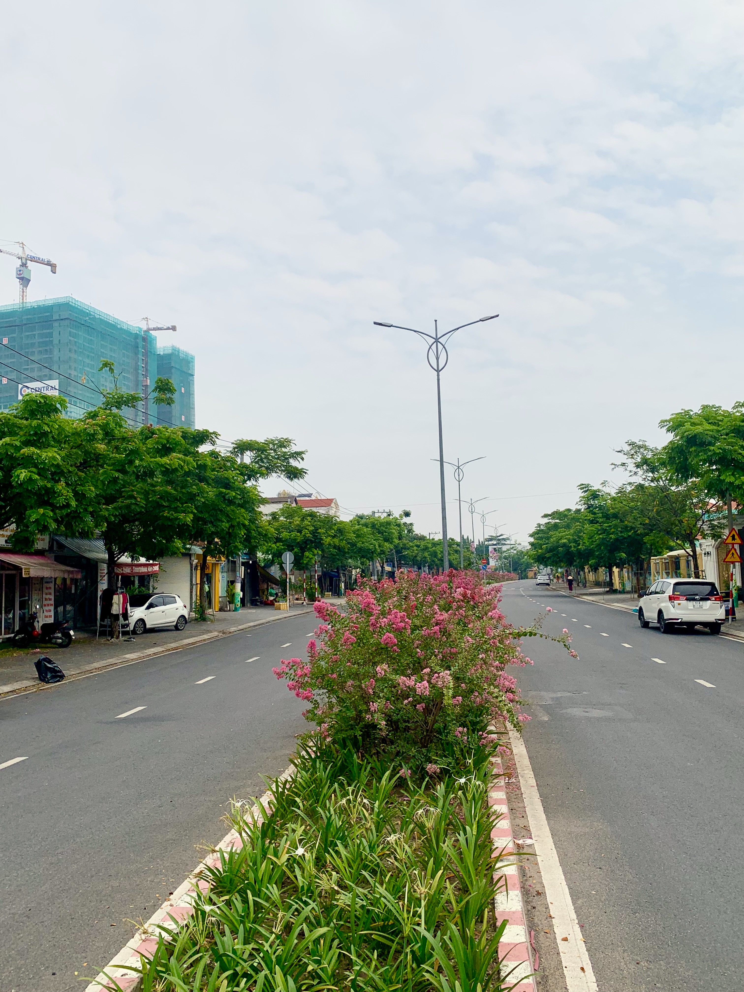 Dân sinh - Tuyến đường hoa đẹp nao lòng tại Bình Dương (Hình 10).