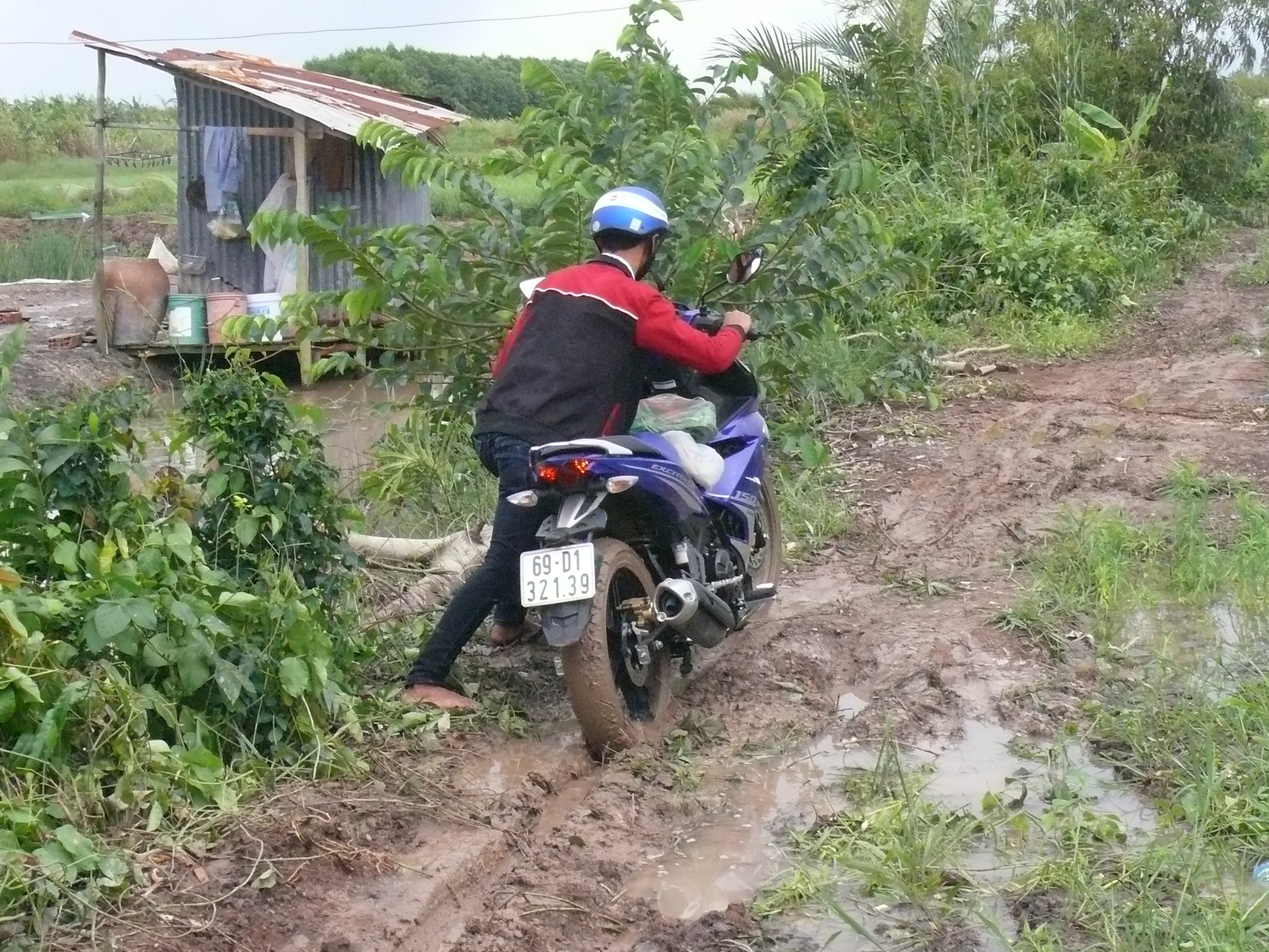 Xã hội - Xã Tân Bằng (Thới Bình, Cà Mau): Đường hư, cầu sập, người dân kêu cứu (Hình 2).