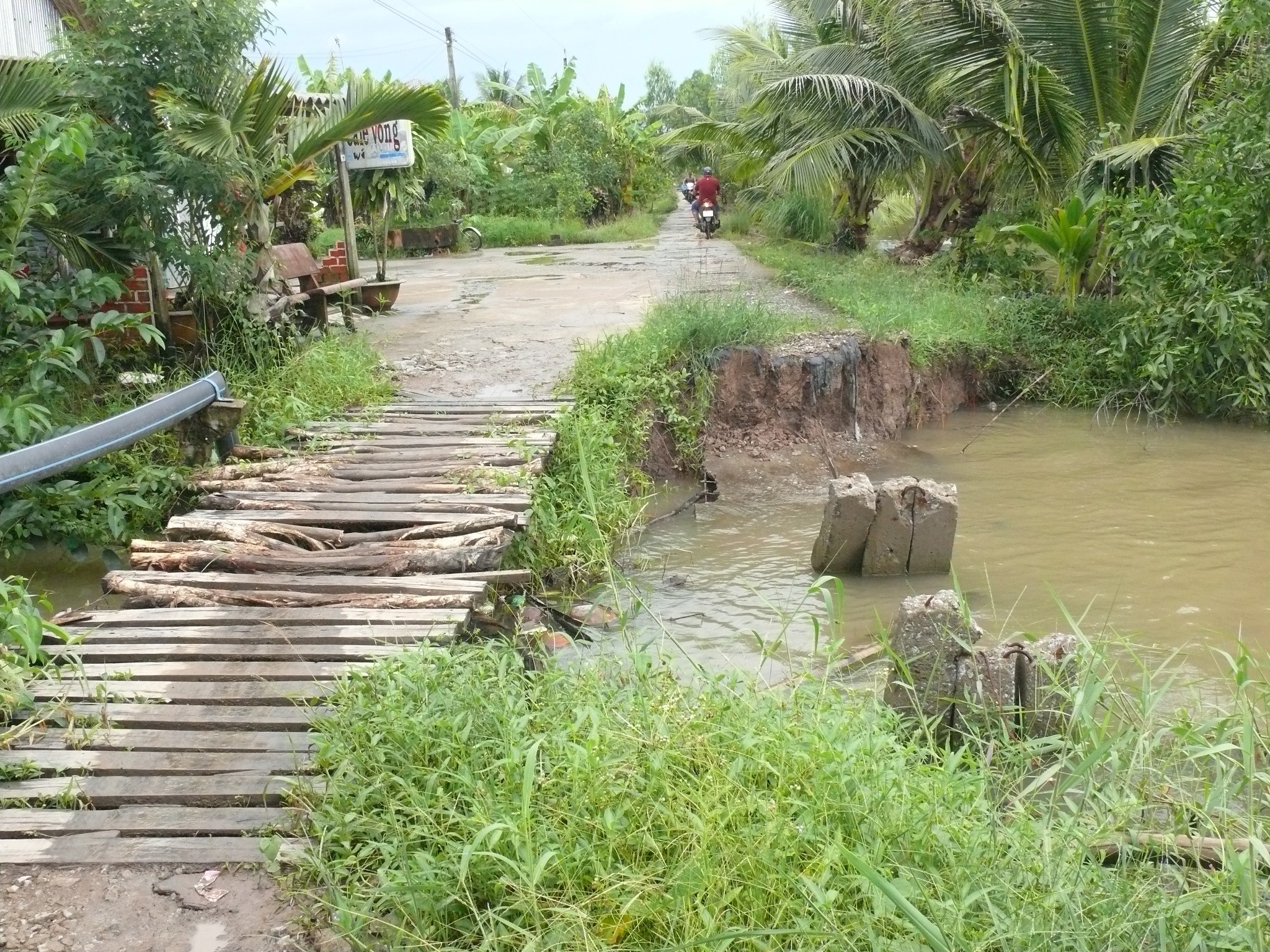 Xã hội - Xã Tân Bằng (Thới Bình, Cà Mau): Đường hư, cầu sập, người dân kêu cứu (Hình 6).