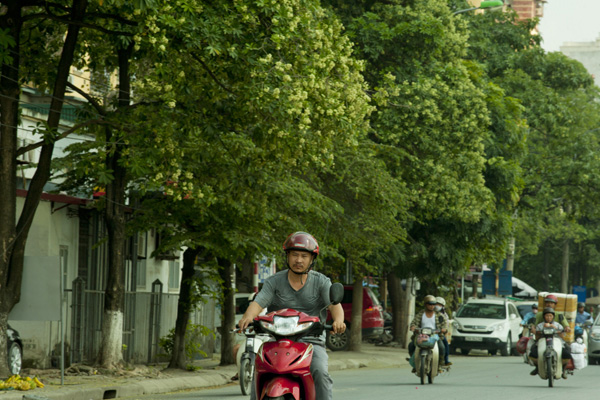 Dân sinh - Người dân Thủ đô lại “kêu trời” vì mùi hoa sữa quá nồng nặc (Hình 4).