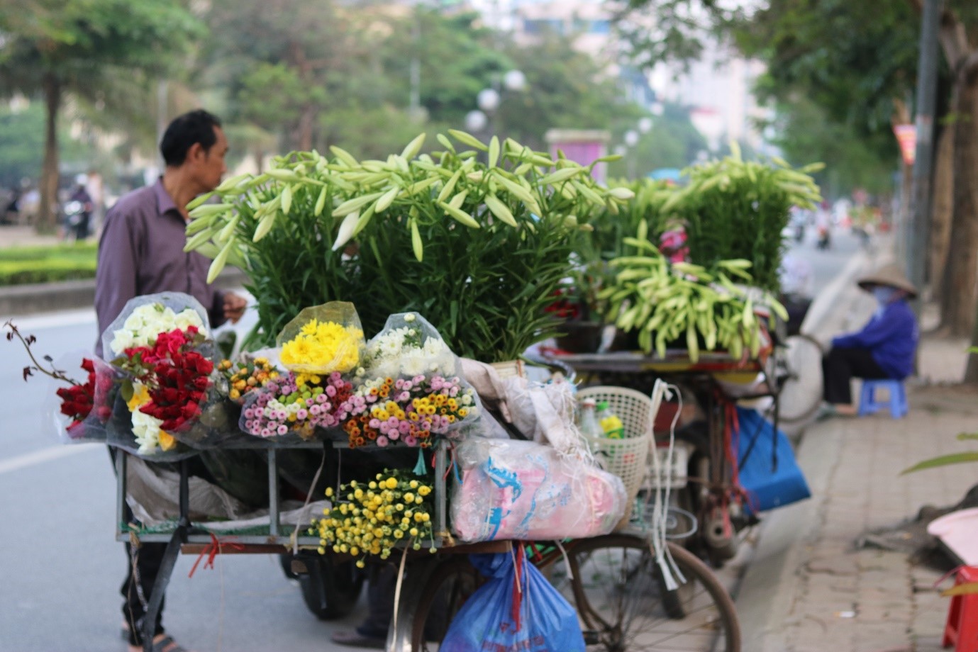 Dân sinh - Hà Nội rực rỡ tháng Tư về 