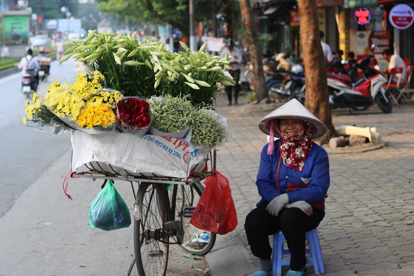 Dân sinh - Hà Nội rực rỡ tháng Tư về  (Hình 3).