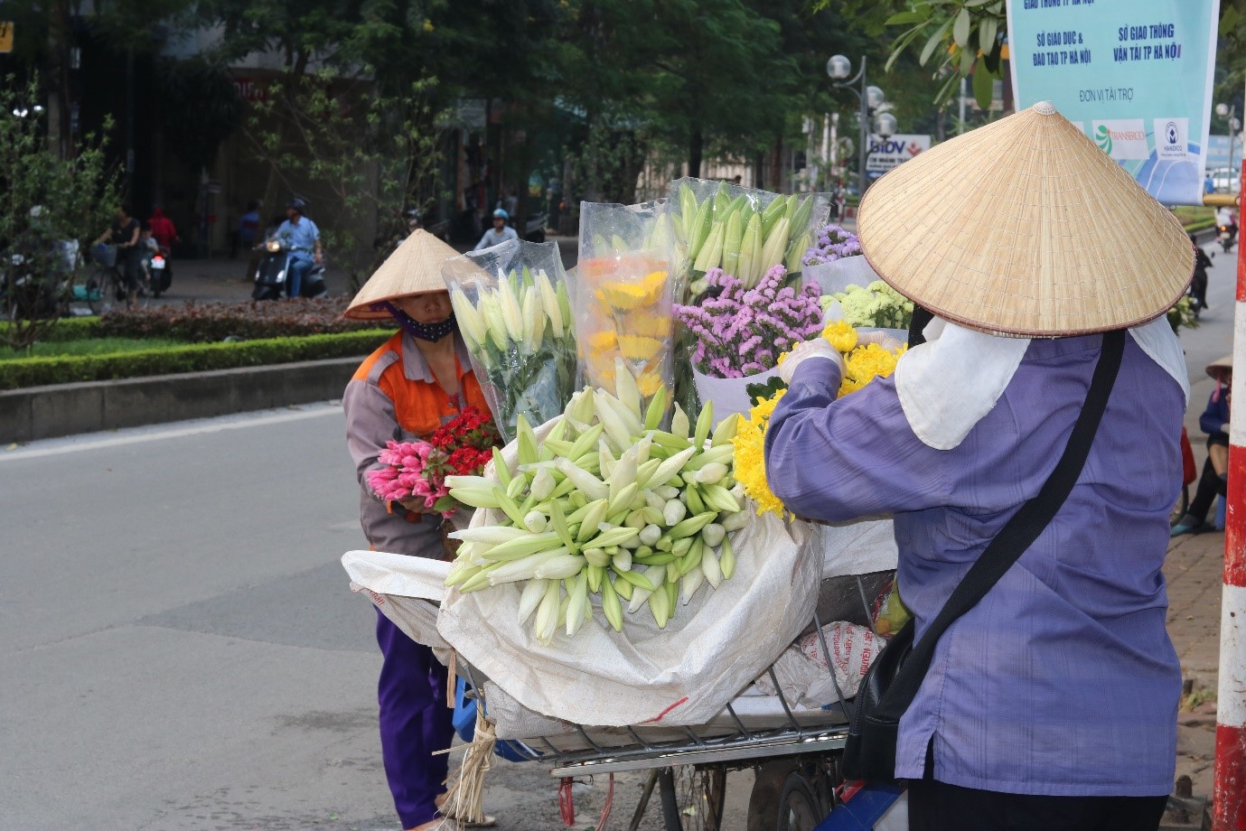 Dân sinh - Hà Nội rực rỡ tháng Tư về  (Hình 8).