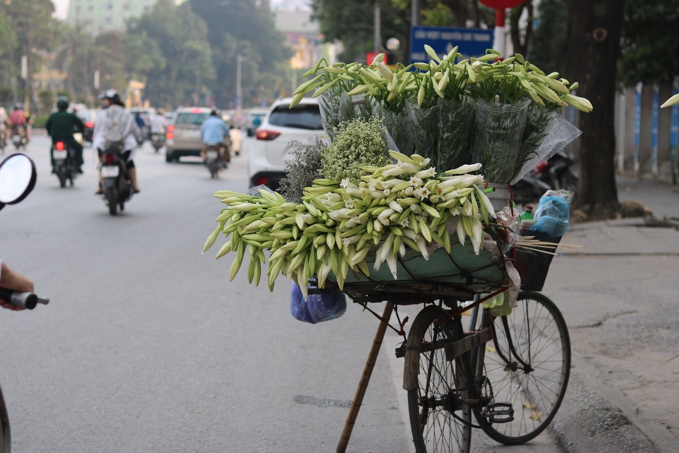 Dân sinh - Hà Nội rực rỡ tháng Tư về  (Hình 4).