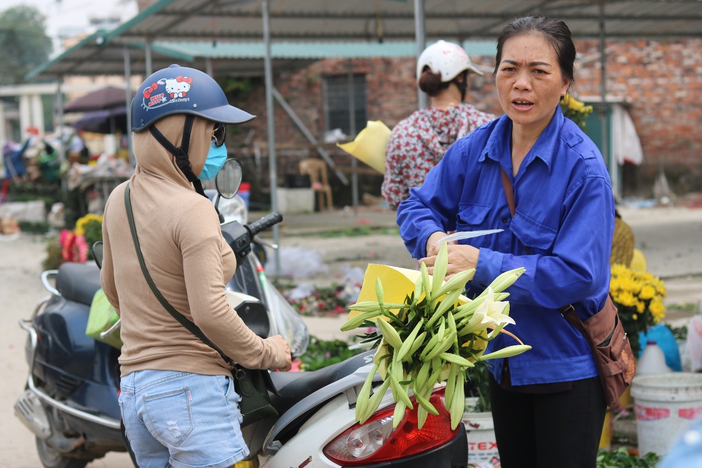 Dân sinh - Hà Nội rực rỡ tháng Tư về  (Hình 6).