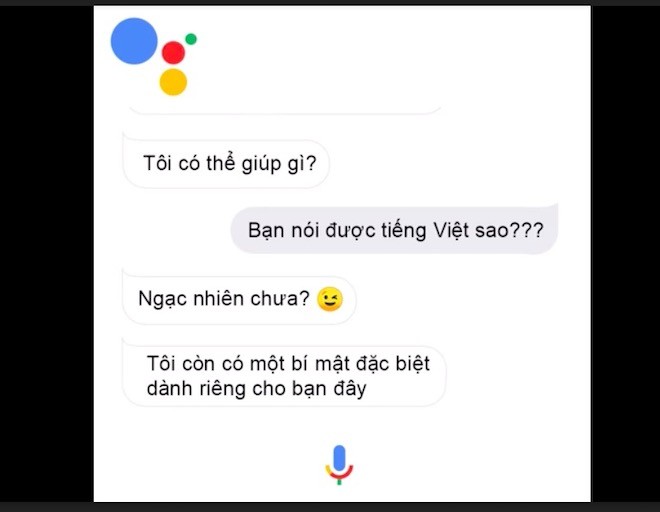 Sản phẩm - Trợ lý ảo Google Assistant có khả năng trò chuyện với người Việt (Hình 2).