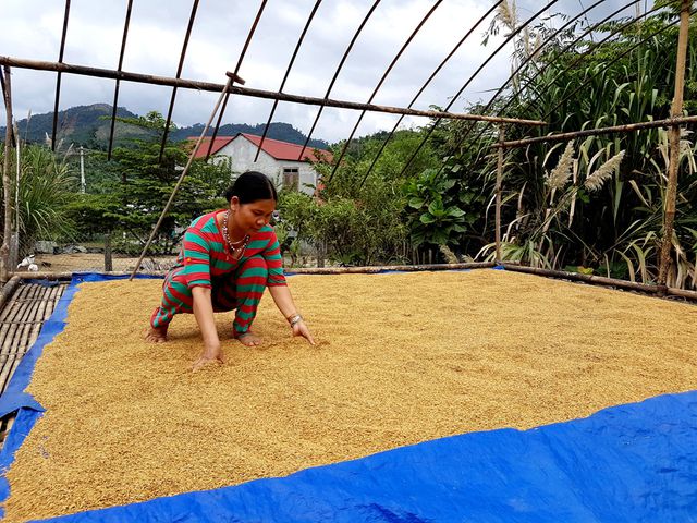 Văn hoá - Cả làng giàu bất chợt, hàng loạt biệt thự gỗ tiền tỷ mọc lên giữa đại ngàn (Hình 7).