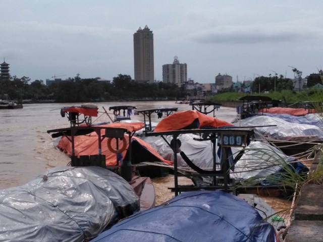 Môi trường - Lũ lớn càn quét Móng Cái, nhấn chìm phương tiện, cuốn trôi người dân (Hình 2).